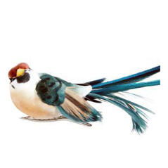 Pippi turkos