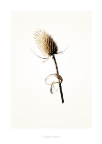 Art print - Gold G3