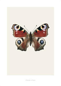 Artprint nachis io S8