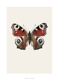 Art print - Artprint nachis io S8