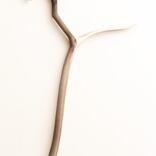cloth hanger plain Edlbad & co