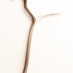 cloth hanger plain Edlbad & co
