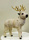 Rag Animals, ren - bild 3