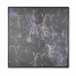 Wasps & water
